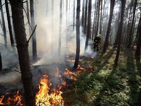 Hoření Obecná definice hoření Hoření je fyzikálně chemická oxidační reakce, při které hořlavá látka reaguje vysokou rychlostí s
