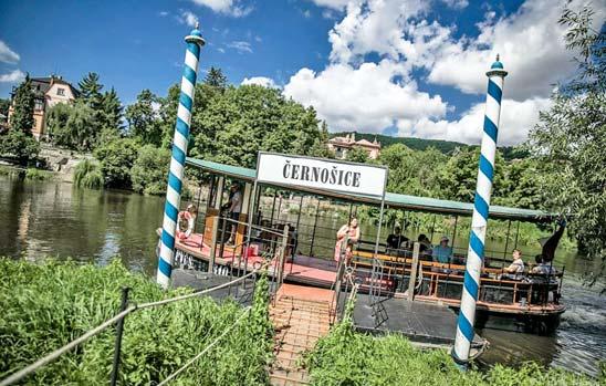 cz KAM NA PIVO Opět se za pivem vydáme na festival. Na speciality pečlivě vybraných 40 minipivovarů zve Žižkovské pivobraní.