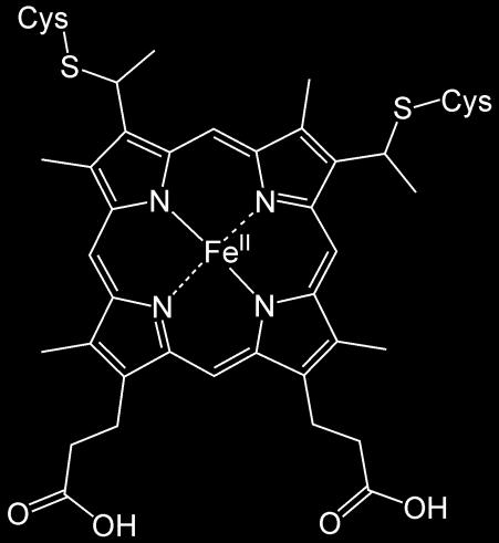 hemoglobin Fetální hemoglobin (2α, 2, vysoká afinita k O 2 ) Methemoglobin (Fe3+) Karboxyhemoglobin (otrava CO) Karbaminohemoglobin