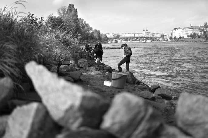 166 intervencí v oblasti ekoporadenství Vybavení Ekocenter ČSOP bylo v roce 2014 podpořeno z prostředků Lesů České republiky, s. p., ve výběrovém řízení Dřevo 2014 částkou 200 000 Kč, která byla rozdělena mezi 13 projektů.