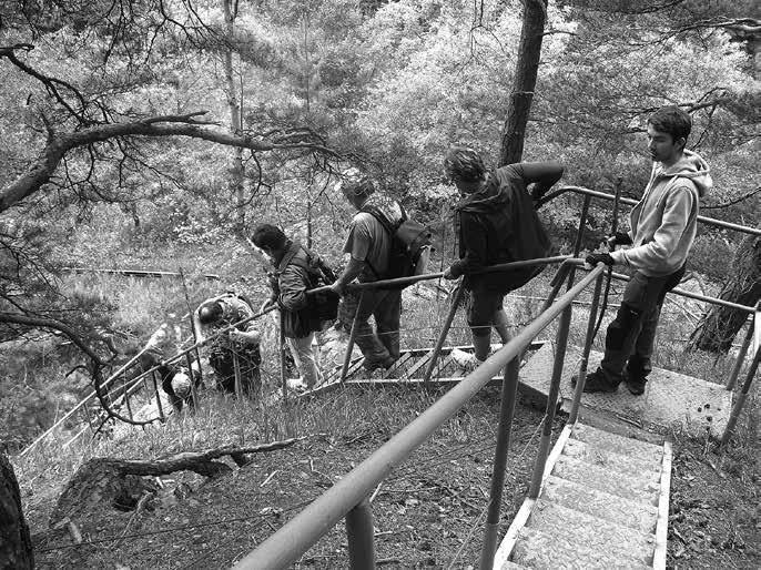 ÚSTŘEDÍ Ústřední kontrolní a revizní komise Josef Cach (ZO ČSOP Záchranná stanice a ekocentrum Pasíčka ) Karel Ferschmann (ZO ČSOP Radnice) Radko Samek (ZO ČSOP 09/09) Předsedové odborných komisí