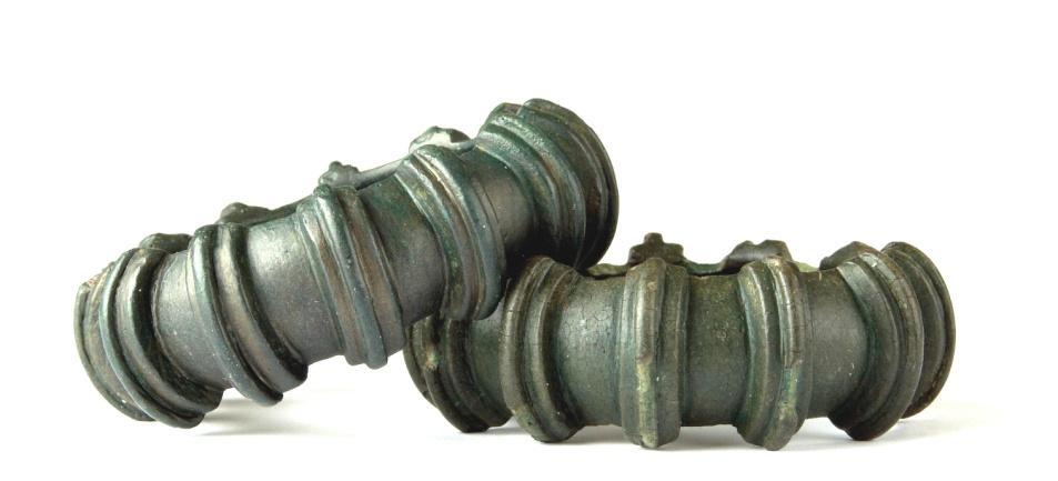 Archeologické centrum Olomouc, příspěvková organizace U Hradiska 42/6, 779 00 Olomouc Zřizovatel: Olomoucký kraj Statutární zástupce: doc.