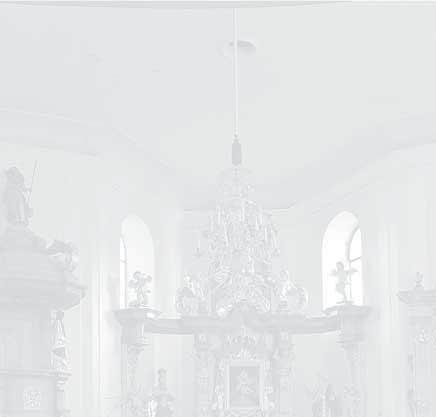 Přezdívku lékař stromů si vysloužil pro svou zištnou pomoc stromům, neboť je zbavuje hmyzu žijícího ve starém či odumírajícím dřevě.