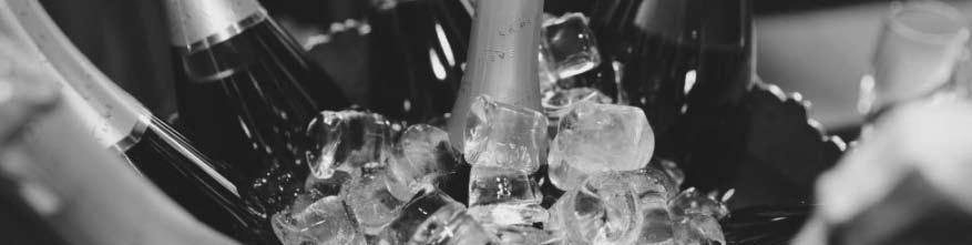 Šumivá vína Sparkling wine - 0,75l - ITÁLIE / ITALY Prosecco di Valdobbiadene, Venanzio (Terre di San), Veneto (Brut) 850 Kč / 37.