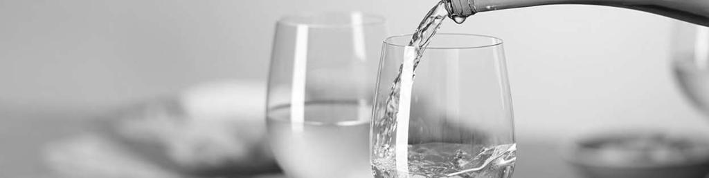 Bílá vína White wine - 0,75l - ČESKÁ REPUBLIKA / THE CZECH REPUBLIC Ryzlink Rýnský, AUSTERLITZ, Spielberg, Pozdní sběr (Polosuché / Semi Dry) 550 Kč / 24.