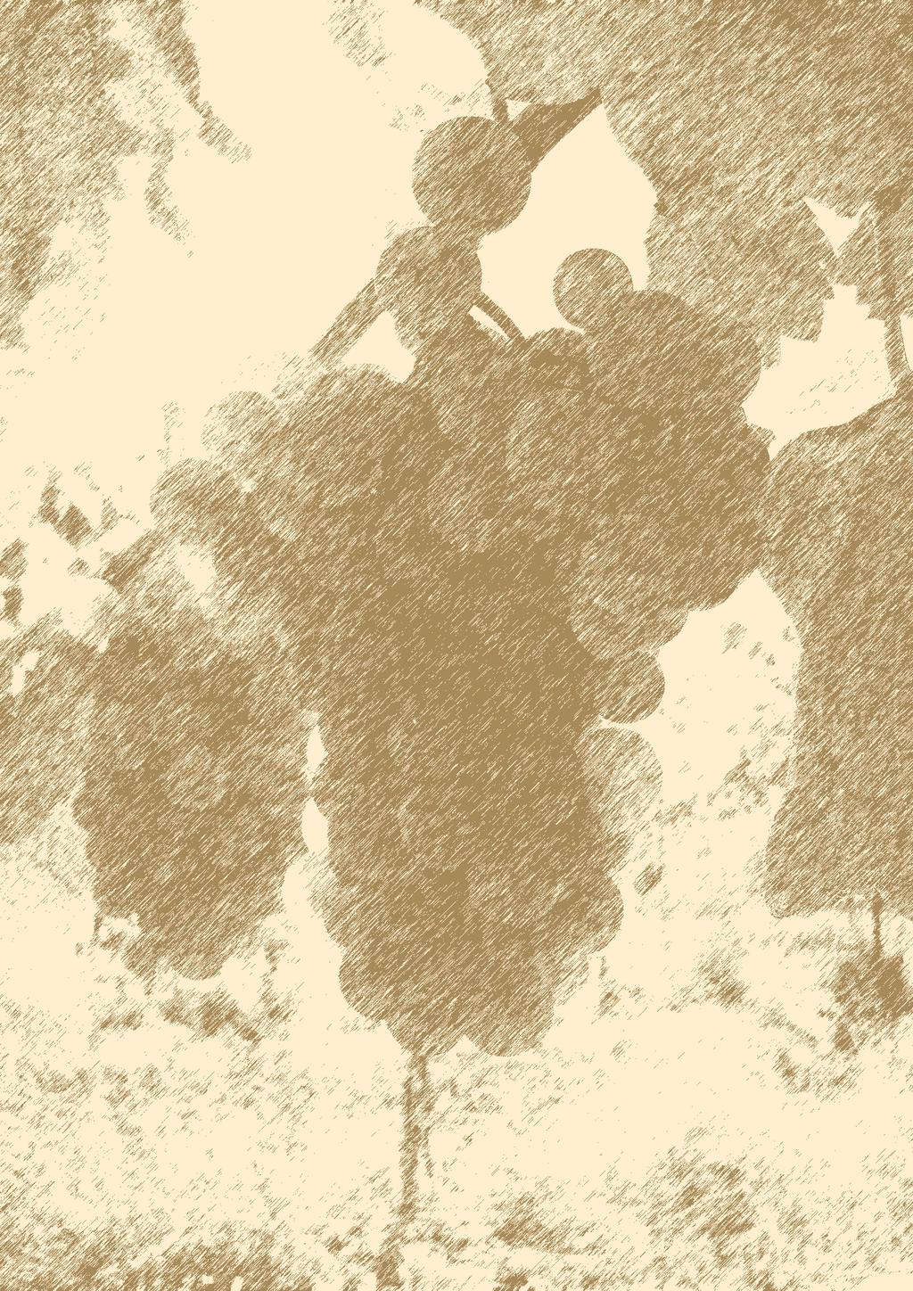 NOVINA NOVINA Alibernet 1 D.S.C.