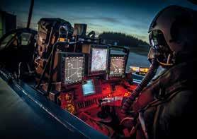 U německé Luftwaffe je zcela patrný záměr co nejvíce sjednotit vybavení a operační schopnosti všech tří používaných verzí, tedy Tornado IDS, ECR a Recce.