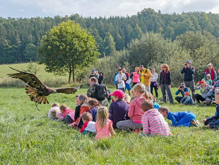 To se podívejte na fotogalerii, kterou jsme pro vás připravili zde.