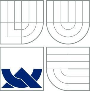 VYSOKÉ UČENÍ TECHNICKÉ V BRNĚ BRNO UNIVERSITY OF TECHNOLOGY FAKULTA STAVEBNÍ ÚSTAV