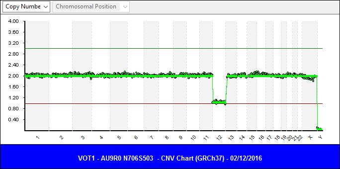 Obr. 1. Ukázka profilu aneuploidního embrya: chybějící chromozóm 12.