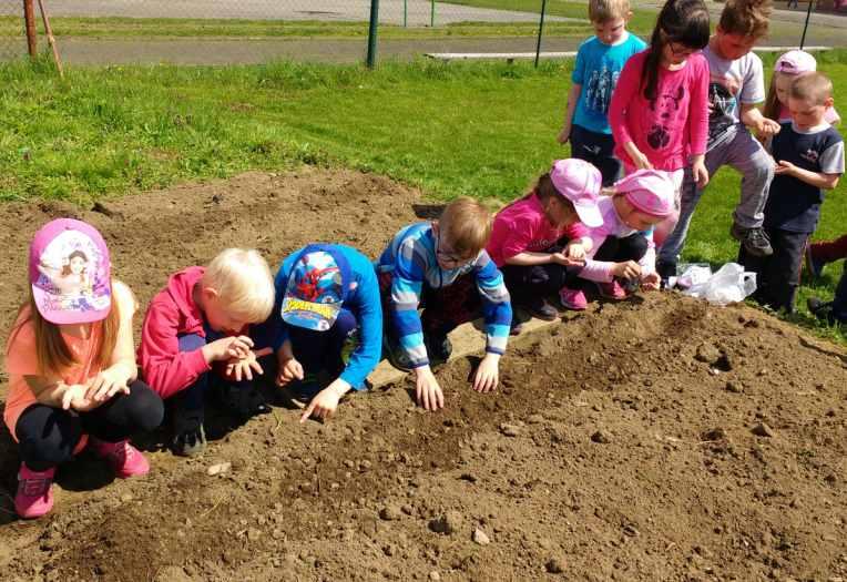 MALÍ ZAHRADNÍCI Děti ze třídy Veverek netrpělivě čekaly na teplejší počasí, aby mohly obhospodařit naši školkovou zeleninovou zahrádku. Při hře na zahradníky zasely semínka hrášku, fazolí a ředkvičky.
