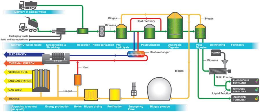 separaci biologicky rozložitelné frakce tuhého komunálního odpadu (anglicky MS-OFMSW) od recyklovatelných složek a tuto frakci spolu s původci ručně vytříděnými bioodpady (anglicky SS- OFMSW)