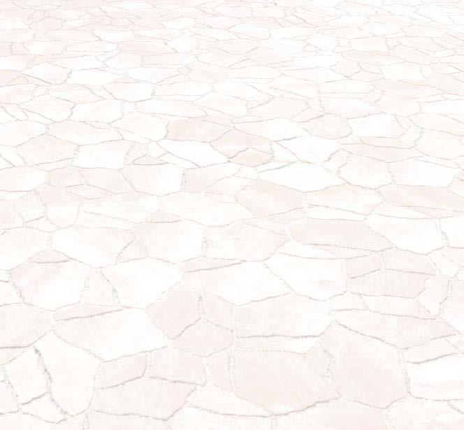 DITON STONE CENÍK strana 4 DITON STONE je betonová dlažba, která se díky svému provedení stává dokonalou