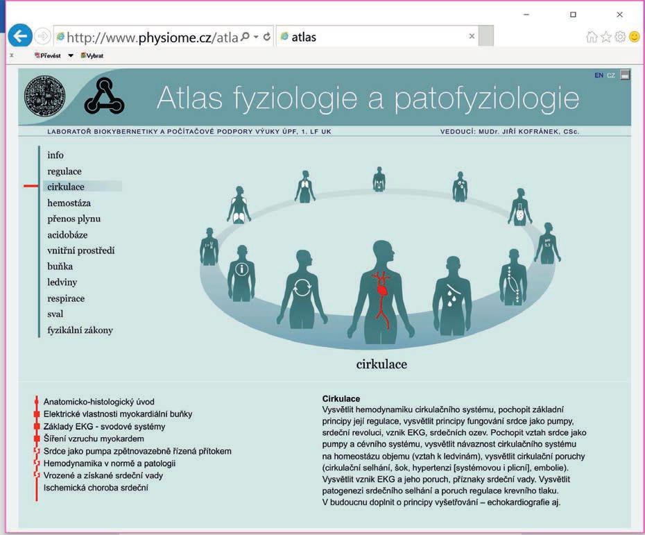 interaktivní model může být dobrým pomocníkem pro vysvětlení patogenetických řetězců rozvoje nejrůznějších patologických stavů.