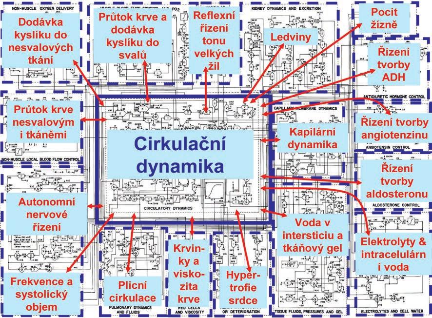 Obr. 5-6.12 Propojené fyziologické subsystémy v Guytonově modelu. Guyton a jeho žáci model nepřetržitě dále rozvíjeli.