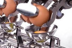 UTB ve Zlíně, Fakulta technologická 45 5.4.1 Ruční výtluk pro výrobu vaječných výrobků Provádí se v oddělených prostorách a každé vejce se smyslově kontroluje.