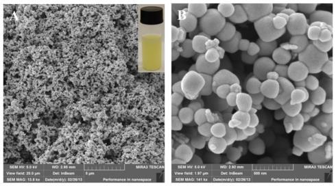 problematika tvorby biofilmu,