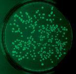 různých typů nanomateriálů i