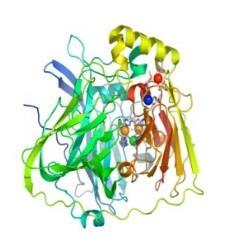 the Environment, Microscience and Microanalysis,