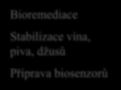 Martina Vršanská) Bioremediace Stabilizace vína,