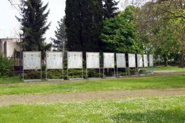 krev