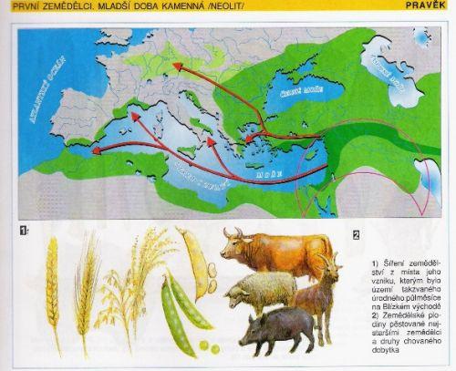 PRVNÍ STAROVĚKÉ STÁTY V oblasti Úrodného půlměsíce se zrodily nejlepší podmínky ke vzniku prvních civilizací Tato oblast zahrnuje deltu egyptského Nilu, na kterou navazuje krajina jihovýchodního