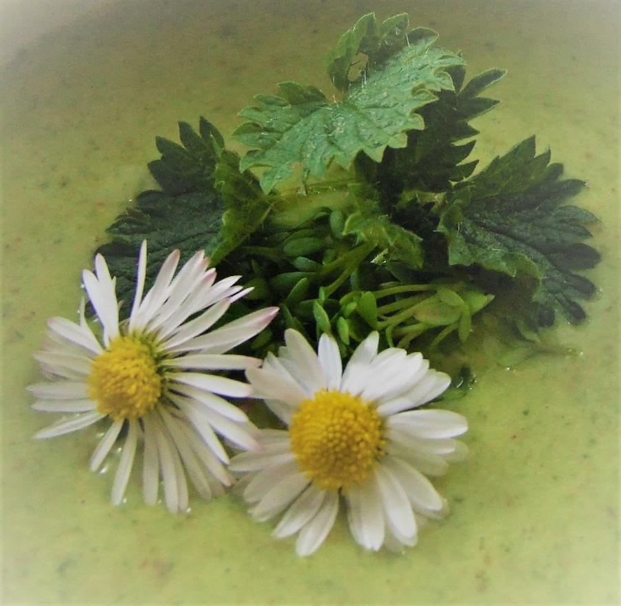 Velikonoční menu podle Metabolic Balance Předkrm: Dvoubarevné jednohubky Polévka: Jarní bylinková