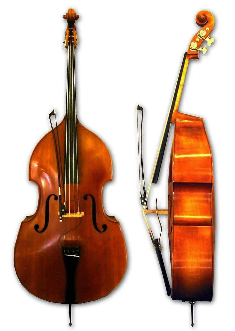 Kontraas Tento nástroj se vyvinul na konci 16.století. Český lidový název je asa. Kontraas je nejhluším smyčcovým nástrojem. Má čtyři, výjimečně i 5 strun, které jsou naladěné na tóny E1, A1, D, G.
