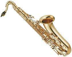 Saxofon Je nejmladším nástrojem patřícím do skupiny dřevěných dechových nástrojů.