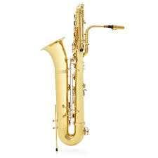 Soprán saxofon, Alt saxofon, tenor saxofon, aryton saxofon, dokonce existují saxofony asové neo kontraasové. Saxofon se vyráí z kovu a má svůj typický esovitý tvar.