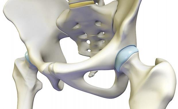 2 SOUČASNÝ STAV 2.1 Anatomie kyčelního kloubu Kyčelní kloub (art. coxae) je geometrickým typem kloub kulový omezený.