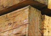 Pokorný Přednáška 4: Stavební materiály v ohni, zvyšování požární odolnosti konstrukcí 4 49 Materiály na bázi dřeva Nejstarší stavební materiál Progresivní dřevozpracující technologie využívající