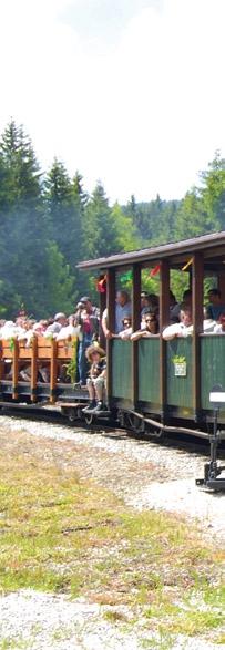 23 8.16 N okres: Námestovo obec : Oravská Lesná VZNIK: 1918 Otváracie hodiny: 1. 5. - 31. 10. Po Ne, 9:00 17:00 hod. 1. 11. - 30. 4.