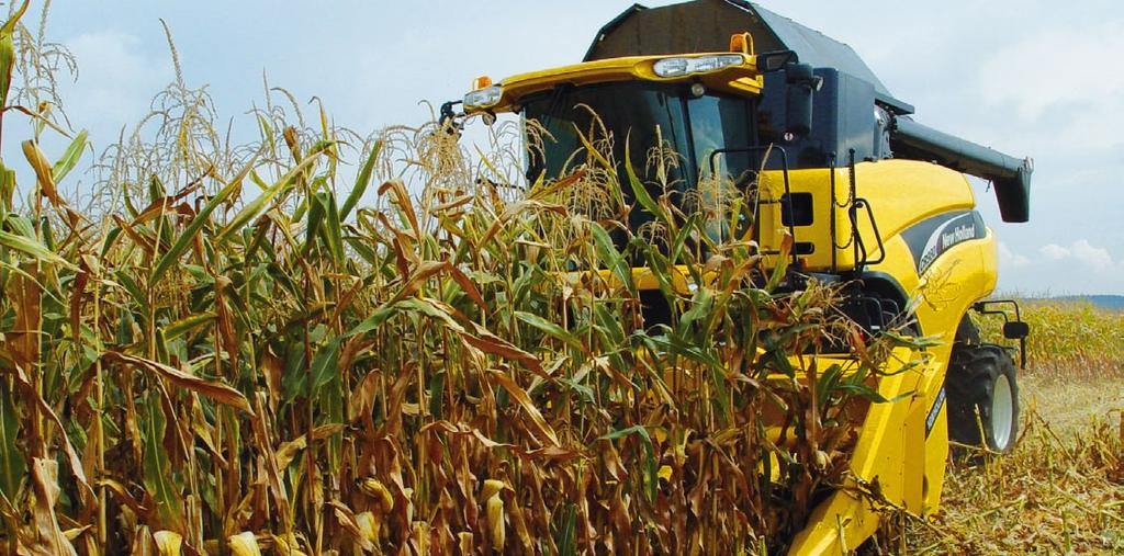 teplotou Poloprovozní pokusy na VP AGRO Lukavice Plzeň jih 5. 9.