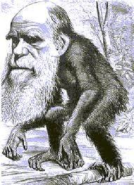 Charles Darwin (1809-82) dokázal, že jednotlivé druhy rostlin a živočichů vznikají vždy z nižších,