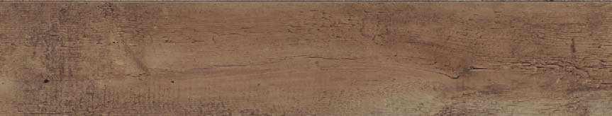 oak 05 Š