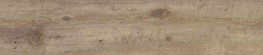 Britany oak 1