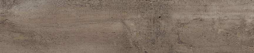 Vintage oak 1