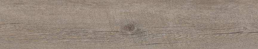 Backgammon 100 x 17,6