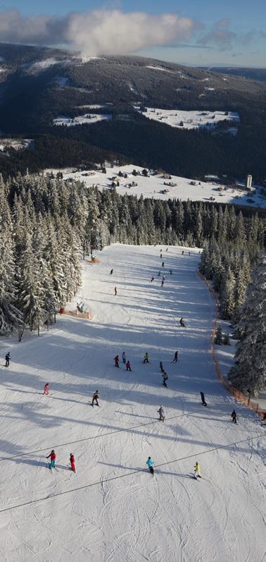 Lyžařské areály Lyžařské areály SkiResort ČERNÁ HORA PEC největší český lyžařský resort Černá hora (Janské Lázně), Pec pod Sněžkou, Černý Důl, Velká Úpa, Svoboda nad Úpou Každý den můžete lyžovat v