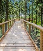 Nenechte si ujít LANOVÉ CENTRUM MONKEY PARK Park se skládá z 22 po sobě jdoucích lanových překážek včetně 4 přemostění (přejezdů).