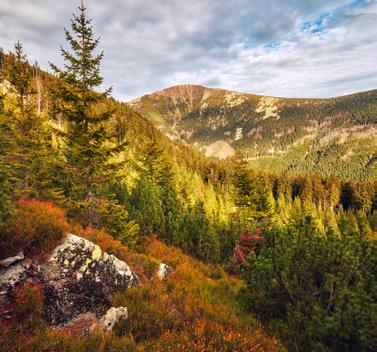 Desatero zásad bezpečného chování při pohybu v horském terénu KRNAP Krkonošský národní park Posláním Krkonošského národního parku je, kromě uchování a zlepšení přírodního prostředí daného území,