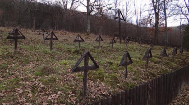 Zdalo sa, že útok teroristov nikto neprežil. Ale nie! Ako vyplýva zo záznamov, pod perinami bolo spratané pološialené a ošedivené dievča. Helena Jakubovičová.