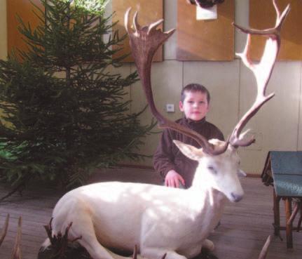 Návštevníci mohli v predajných stánkoch vidieť prácu rezbárov, spisovateľov i preparátorov. Nechajme sa prekvapiť, čo prinesie sezóna tohtoročná.