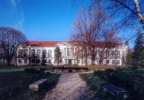 Na ranči je možnosť si nielen odpočinúť, ale sa aj občerstviť a prenocovať. Rodiny s deťmi môžu využiť možnosť jazdenia na koni a koči. Z ranča je krásny výhľad na vinice a aj na okolitú prírodu.