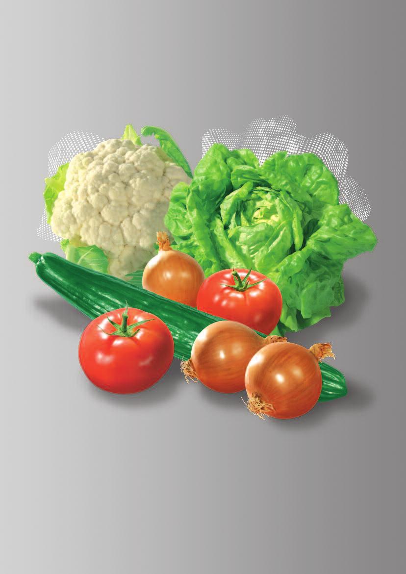 Kvalitní zelenina Kvalitní zelenina Informace o hnojení zeleniny