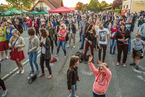Jan Dudlíček tel. 775 152 053 Ing. Petr Opolcer tel. 774 709 120 e mail:opolcer@vltavotynsko.