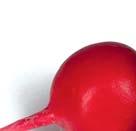 bulvičky sytě červené barvy