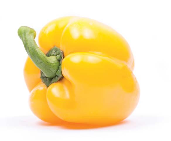 Ilanga RZ F1 HR Tm:0-2/PVY:0/IR TSWV:0 tmavě zelená blocky paprika, zraje do žluté barvy raná odrůda s vysokým výnosovým potenciálem plody mají velmi dobrou