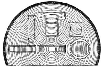 Tab. 5 - Tabulka diferenciálního bobtnání různých druhů dřev (Ugolev, 1975) α dif Modřín 1,95 Borovice 1,72 Smrk 1,82 Bříza 1,21 Buk 1,94 Jasan 1,63 Dub 1,53 Příčné borcení je vyvolané rozdílem